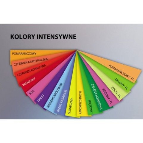 Papier kolorowy Trophee kolorowy A4 żółty 80g (xca42977) Papier kolorowy Trophee kolorowy A4 żółty 80g (xca42977)