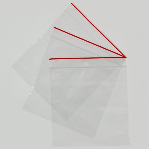 Worki strunowe Gabi-Plast 100 szt [mm:] 100x100
