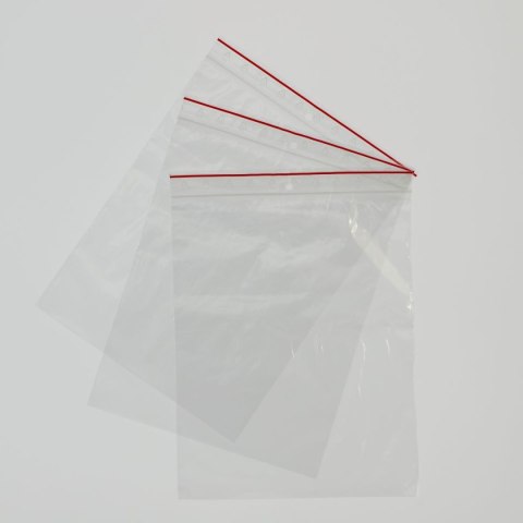 Worki strunowe Gabi-Plast 100 szt [mm:] 200x250