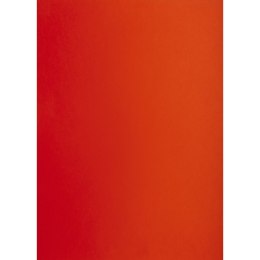 Brystol CZERONY B2 Czerwony 225g 25k Creatinio (400150331)