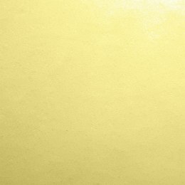 Papier ozdobny (wizytówkowy) Protos gładki-krem A4 kremowy 246g