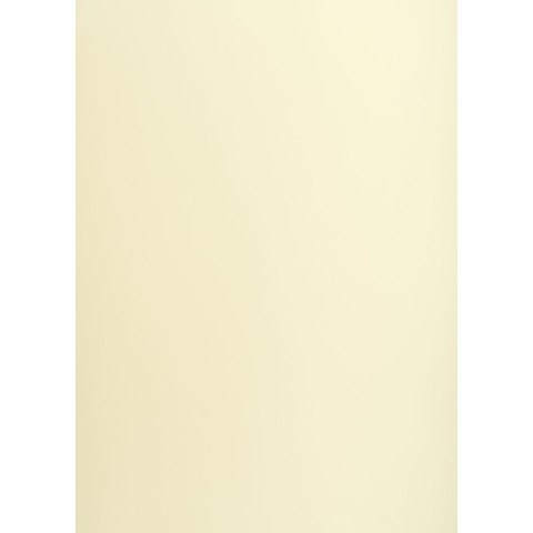 Brystol A1 kremowy 160g 25k [mm:] 610x860 TOP-2000 (400149521)