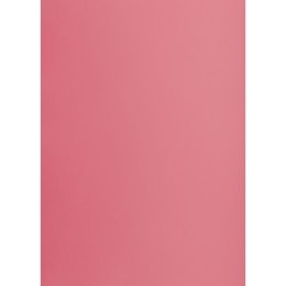 Brystol Creatinio różowy B1 różowy 225g 1k (400150260)