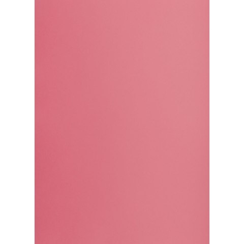Brystol Creatinio różowy B1 różowy 225g 1k (400150260) Brystol Creatinio różowy B1 różowy 225g 1k (400150260)