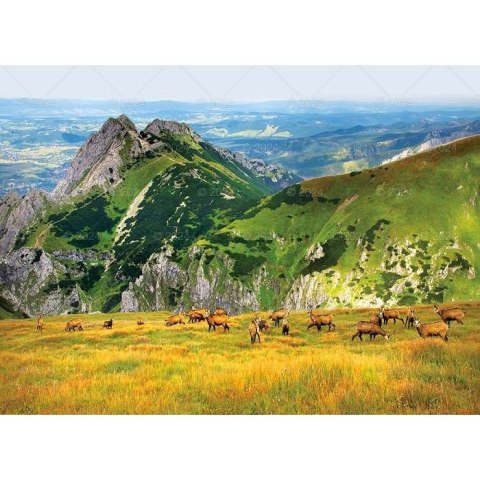 Kalendarz ścienny PEJZAŻE TATRZAŃSKIE 13-planszowe 2024 320mm x 470mm Lucrum (RW05) Kalendarz ścienny PEJZAŻE TATRZAŃSKIE 13-planszowe 2024 320mm x 470mm Lucrum (RW05)