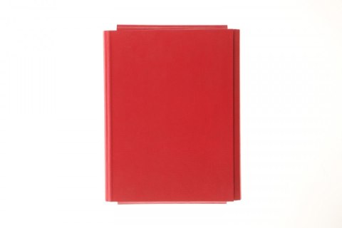 Teczka kartonowa Teczka kartonowa