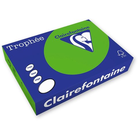 Papier kolorowy Trophee kolorowy A4 miętowy 160g (xca41025) Papier kolorowy Trophee kolorowy A4 miętowy 160g (xca41025)