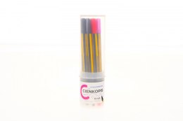 Cienkopis Kamet MASSTER mix 0,4mm 12kol. (12 kol)