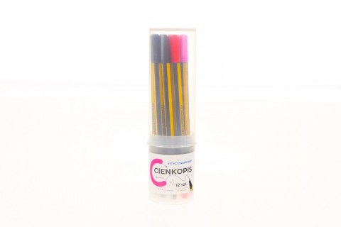 Cienkopis Kamet MASSTER mix 0,4mm 12kol. (12 kol)