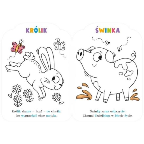 Książeczka edukacyjna Aksjomat Malowanki rymowanki z pieskiem. Czytam sylabami i koloruję Książeczka edukacyjna Aksjomat Malowanki rymowanki z pieskiem. Czytam sylabami i koloruję