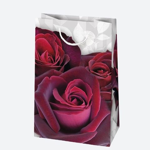 Torba prezentowa [mm:] 100x160x 60 Pol-mak