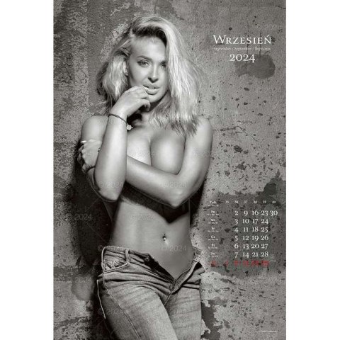 Kalendarz ścienny FOTO-MARZENIA 13-planszowe 2024 320mm x 470mm Lucrum (RW14) Kalendarz ścienny FOTO-MARZENIA 13-planszowe 2024 320mm x 470mm Lucrum (RW14)