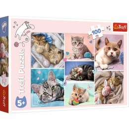 Puzzle W kocim świecie 100 el. Trefl (16420)