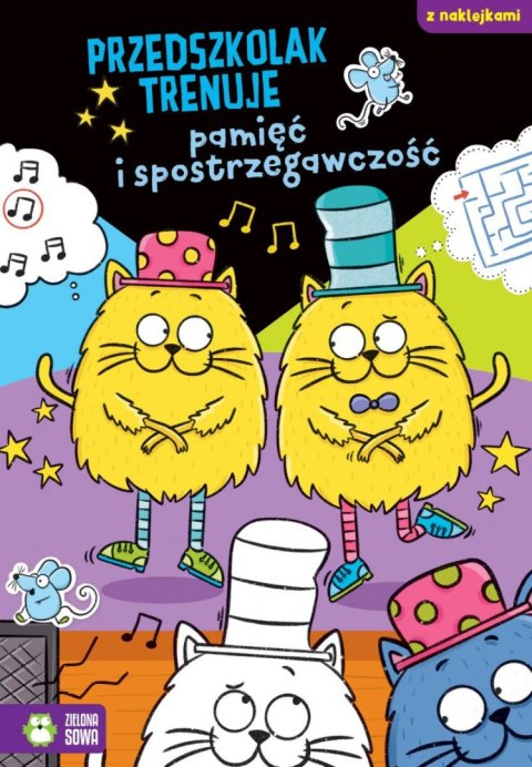 Książeczka edukacyjna Zielona Sowa Przedszkolak trenuje pamięć i spostrzegawczość Książeczka edukacyjna Zielona Sowa Przedszkolak trenuje pamięć i spostrzegawczość