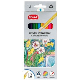 Kredki ołówkowe trójkątne 12 kol. Toma