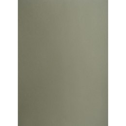 Brystol Creatinio A1 ciemnoszary 160g 25k [mm:] 610x860 (400149524)
