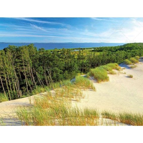 Kalendarz ścienny LASY POLSKIE 13-planszowe 2024 320mm x 470mm Lucrum (RW04) Kalendarz ścienny LASY POLSKIE 13-planszowe 2024 320mm x 470mm Lucrum (RW04)