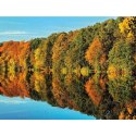 Kalendarz ścienny LASY POLSKIE 13-planszowe 2024 320mm x 470mm Lucrum (RW04)