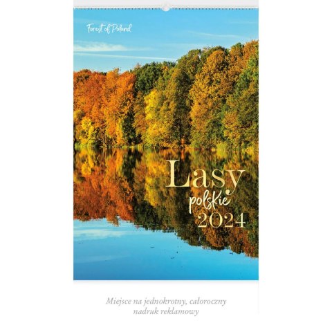 Kalendarz ścienny LASY POLSKIE 13-planszowe 2024 320mm x 470mm Lucrum (RW04) Kalendarz ścienny LASY POLSKIE 13-planszowe 2024 320mm x 470mm Lucrum (RW04)
