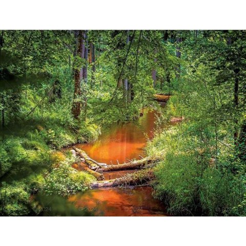 Kalendarz ścienny LASY POLSKIE 13-planszowe 2024 320mm x 470mm Lucrum (RW04) Kalendarz ścienny LASY POLSKIE 13-planszowe 2024 320mm x 470mm Lucrum (RW04)