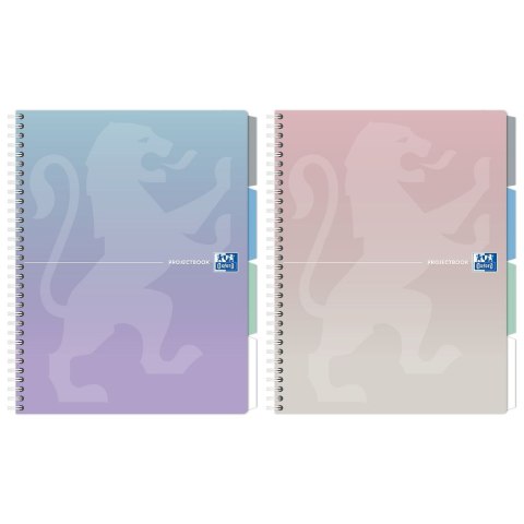 Notes (notatnik) pastel B5 80k. krata Oxford (400182995)