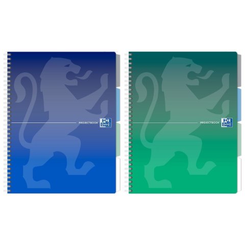 Notes (notatnik) klasyczny B5 80k. krata Oxford (400182993)