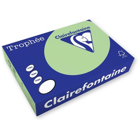 Papier kolorowy Emerson kolorowy A4 zielony 120g (xca41215) Papier kolorowy Emerson kolorowy A4 zielony 120g (xca41215)