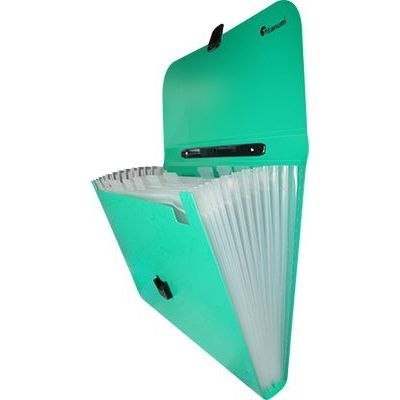 Teczka segregująca PP Titanum A4 z rączką 13 przegródek zielona z wzorkami (TW12GR) Teczka segregująca PP Titanum A4 z rączką 13 przegródek zielona z wzorkami (TW12GR)
