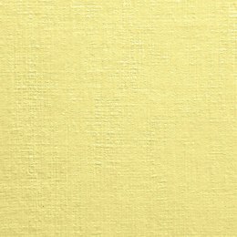 Papier ozdobny (wizytówkowy) Protos A4 kremowy 190g
