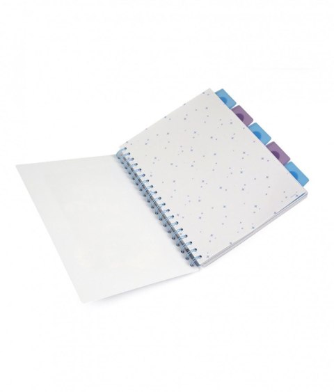 Kołobrulion Disney B5 100k. 80g krata Patio (74999PTR)