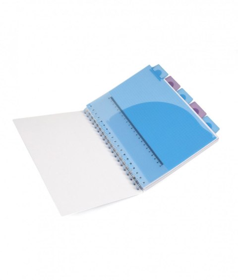 Kołobrulion Disney B5 100k. 80g krata Patio (74999PTR)