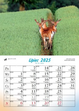 Kalendarz ścienny LEŚNI PRZYJACIELE rodzinny 2026 280mm x 400mm Lucrum (WL07)