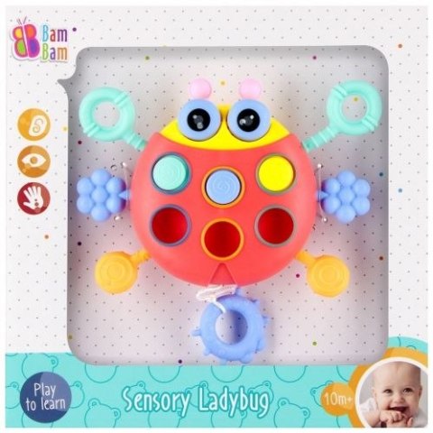 Zabawka edukacyjna Bam Bam biedronka sensoryczna (541611) Zabawka edukacyjna Bam Bam biedronka sensoryczna (541611)
