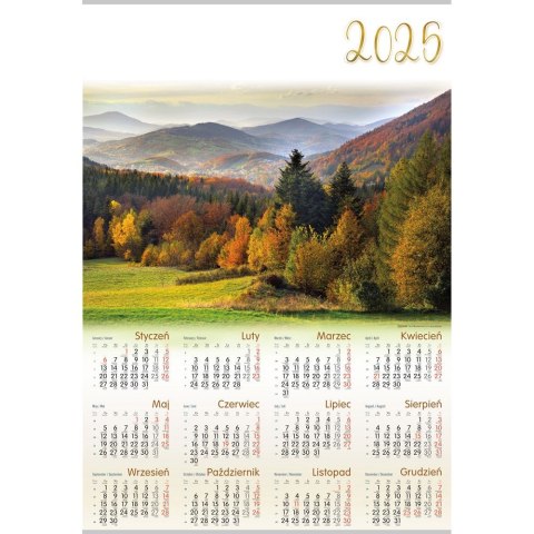 Kalendarz ścienny JESIEŃ plakatowy 607mm x 880mm Lucrum (PL03) Kalendarz ścienny JESIEŃ plakatowy 607mm x 880mm Lucrum (PL03)
