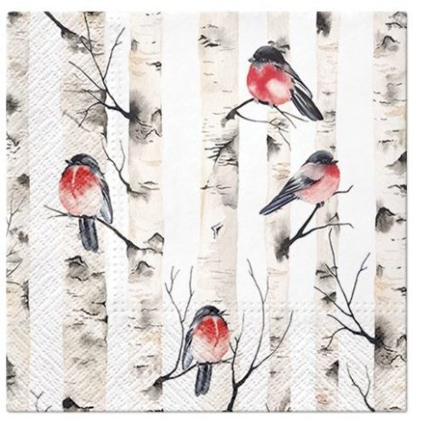 Serwetki Lunch BN Birch Trees miks bibuła [mm:] 330x330 Paw (SDL230100)