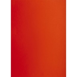 Brystol TOP-2000 A1 czerwony 160g 25k [mm:] 610x860 (400149551)