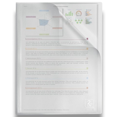 Teczka ofertowa 2nd Life A4 kolor: mix 20 kieszeni [mm:] 230x318 Oxford (400059341)