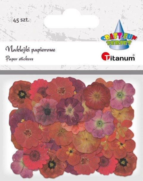 Naklejka (nalepka) Titanum Craft-Fun Series Naklejki papierowe (24XQ0501-13) Naklejka (nalepka) Titanum Craft-Fun Series Naklejki papierowe (24XQ0501-13)