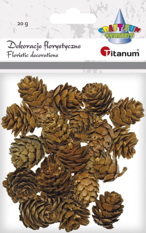 Ozdoba drewniana Titanum Craft-Fun Series szyszki (5903714533688) Ozdoba drewniana Titanum Craft-Fun Series szyszki (5903714533688)