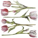 Ozdoba papierowa Titanum Craft-Fun Series Flower Letter tulipany (24XQ0501-11)