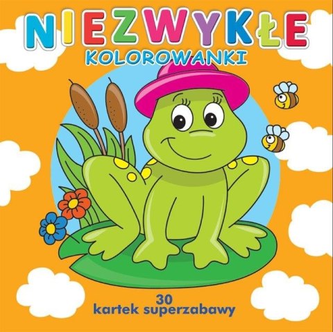 Kolorowanka Niezwykłe kolorowanki Kolorowanka Niezwykłe kolorowanki