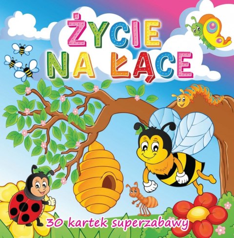 Kolorowanka Życie na łące Kolorowanka Życie na łące