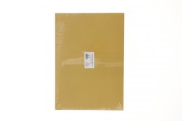 Brystol Protos A3 złoty 160g 20k