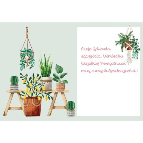 Kartka składana KARNET B6 KWIATY DONICZKOWE B6 Henry (5905701484157)