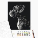 Zestaw kreatywny Brushme Malowanie Po Numerach 40x50 cm Pies (BR-BS53935)