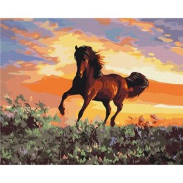 Zestaw kreatywny Brushme Malowanie Po Numerach 40x50 cm Koń (BR-BS6943)