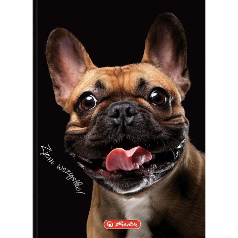 Brulion Crazy Animal A6 80k. 70g krata Herlitz (400196850)