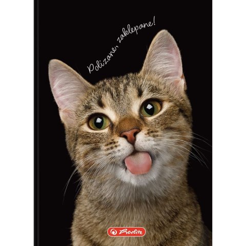 Brulion Crazy Animal A6 80k. 70g krata Herlitz (400196850)