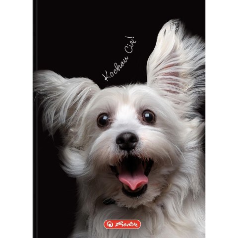 Brulion Crazy Animal A6 80k. 70g krata Herlitz (400196850)