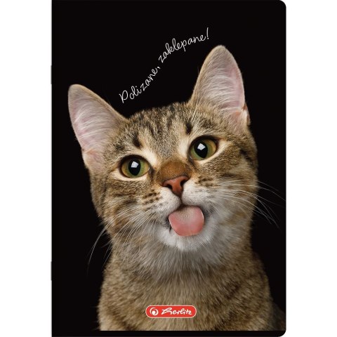 Zeszyt Animals A5 16k. 70g krata kolorowa Herlitz (400196855)